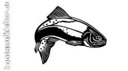 Fisch 04