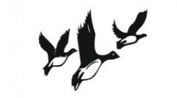 Zugvögel 3er Set