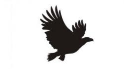 Raubvogel