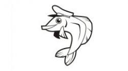 Fisch 13