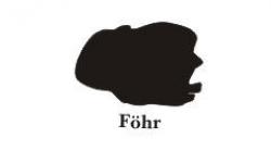 Föhr