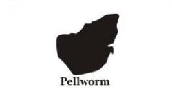 Pellworm