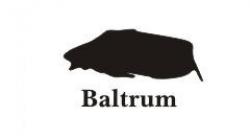 Baltrum