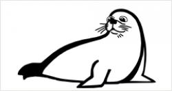 Seehund 01